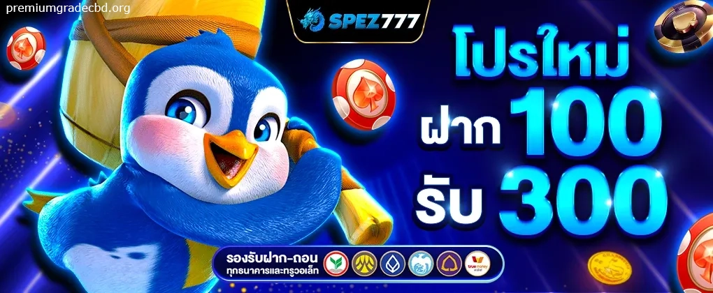 เว็บสล็อต เว็บตรงแตกง่าย